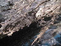  dscf0613.jpg 