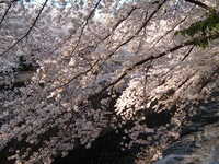  dscf0614.jpg 