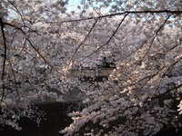  dscf0615.jpg 