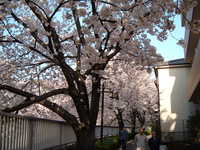  dscf0617.jpg 