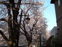  dscf0618.jpg 