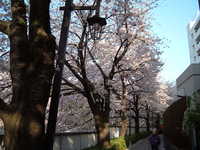  dscf0619.jpg 