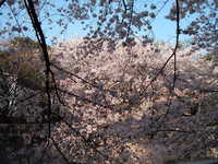 dscf0620.jpg 