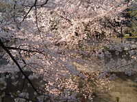  dscf0621.jpg 
