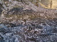  dscf0622.jpg 