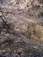  dscf0623p.jpg 