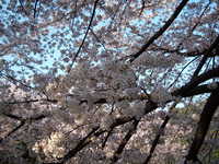  dscf0624.jpg 