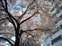  dscf0625.jpg 