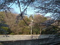  dscf0626.jpg 