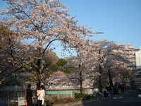  dscf0628.jpg 