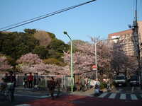  dscf0629.jpg 