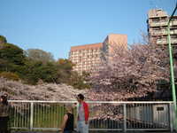  dscf0630.jpg 