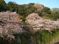  dscf0631.jpg 