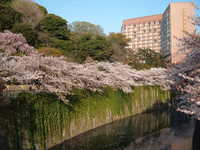  dscf0632.jpg 