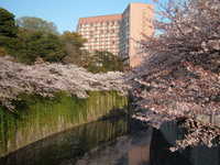  dscf0633.jpg 