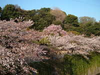  dscf0634.jpg 