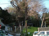 dscf0635.jpg 