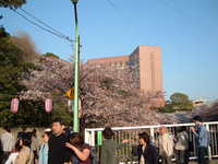  dscf0636.jpg 