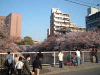  dscf0637.jpg 