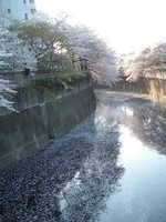  dscf0639p.jpg 
