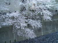  dscf0640.jpg 