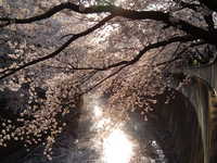  dscf0641.jpg 