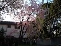  dscf0643.jpg 