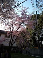  dscf0644p.jpg 