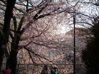  dscf0645.jpg 