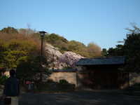  dscf0651.jpg 