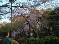  dscf0654.jpg 