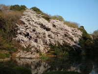  dscf0655.jpg 