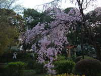 dscf0656.jpg 