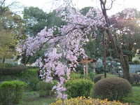  dscf0657.jpg 