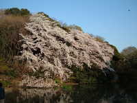  dscf0658.jpg 