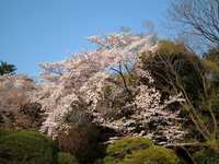  dscf0660.jpg 