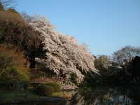  dscf0661.jpg 