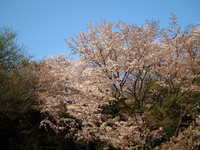  dscf0662.jpg 