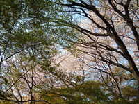  dscf0664.jpg 