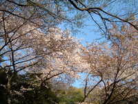  dscf0665.jpg 