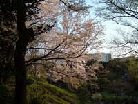  dscf0666.jpg 