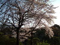  dscf0667.jpg 