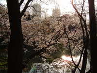  dscf0668.jpg 
