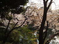  dscf0669.jpg 