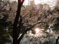  dscf0670.jpg 