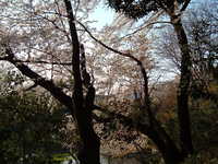  dscf0671.jpg 