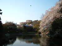  dscf0673.jpg 