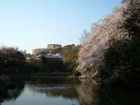  dscf0674.jpg 