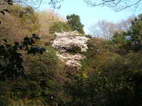  dscf0675.jpg 
