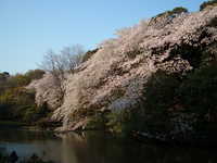  dscf0676.jpg 